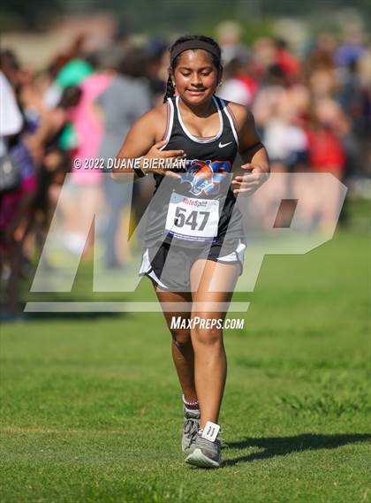 Thumbnail 2 in New Albany XC Classic photogallery.