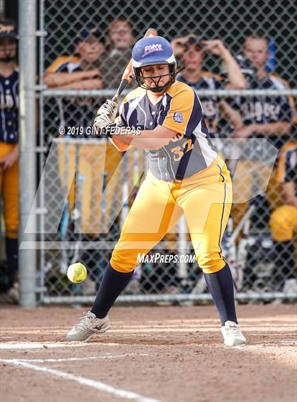 Thumbnail 1 in Antioch vs. Alhambra (CIF NCS D2 Semifinal) photogallery.
