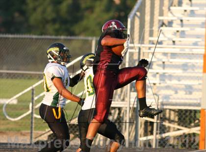 Thumbnail 3 in Borah @ Centennial photogallery.