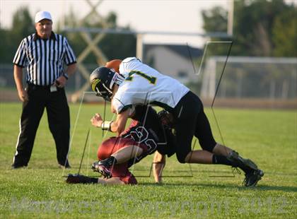 Thumbnail 2 in Borah @ Centennial photogallery.