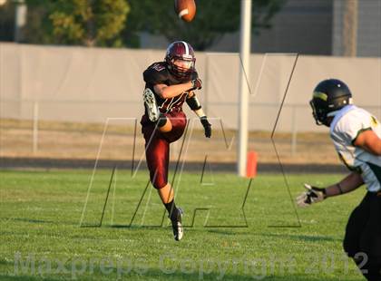 Thumbnail 1 in Borah @ Centennial photogallery.