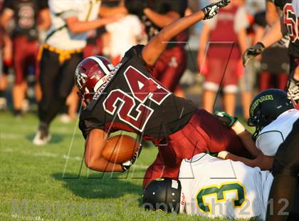 Thumbnail 2 in Borah @ Centennial photogallery.