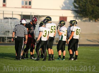 Thumbnail 1 in Borah @ Centennial photogallery.