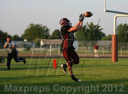 Thumbnail 3 in Borah @ Centennial photogallery.