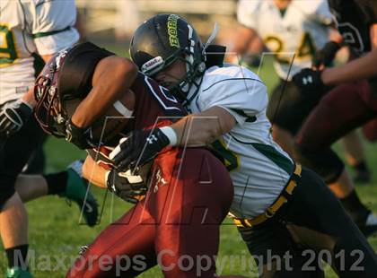Thumbnail 1 in Borah @ Centennial photogallery.