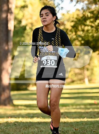 Thumbnail 3 in CFISD District Cross Country Meet photogallery.