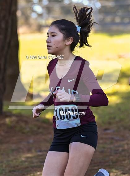 Thumbnail 2 in CFISD District Cross Country Meet photogallery.