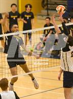 Photo from the gallery "Kennedy @ River City"