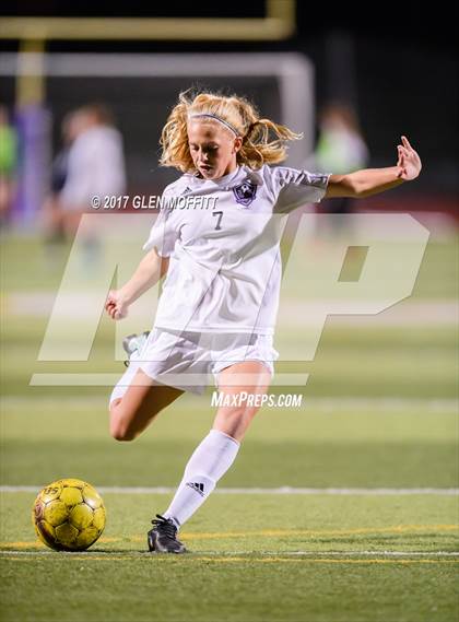 Thumbnail 3 in Glacier Peak @ Lake Stevens photogallery.