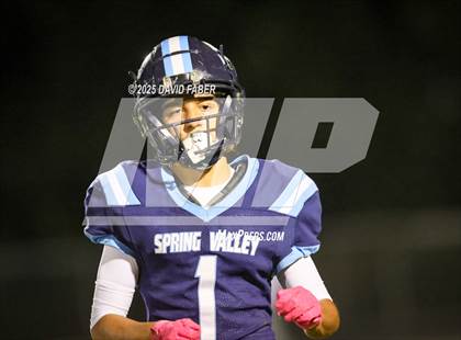 Thumbnail 3 in Bridgeport @ Spring Valley photogallery.