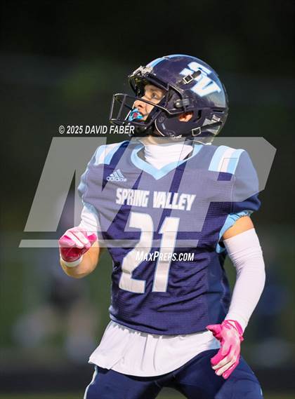 Thumbnail 2 in Bridgeport @ Spring Valley photogallery.