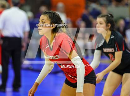 Thumbnail 3 in McClave vs. Merino (CHSAA 1A State Championships Semifinal) photogallery.