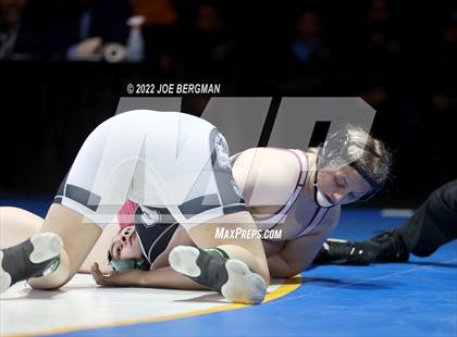 Thumbnail 2 in CIF State Championships (Girl's Finals) photogallery.