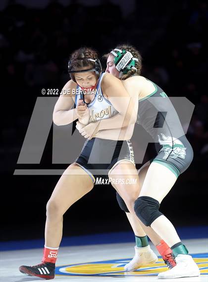 Thumbnail 1 in CIF State Championships (Girl's Finals) photogallery.