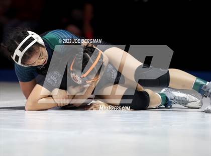 Thumbnail 3 in CIF State Championships (Girl's Finals) photogallery.