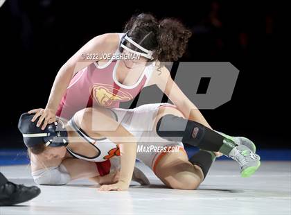 Thumbnail 3 in CIF State Championships (Girl's Finals) photogallery.