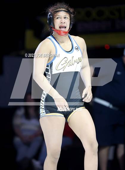 Thumbnail 2 in CIF State Championships (Girl's Finals) photogallery.