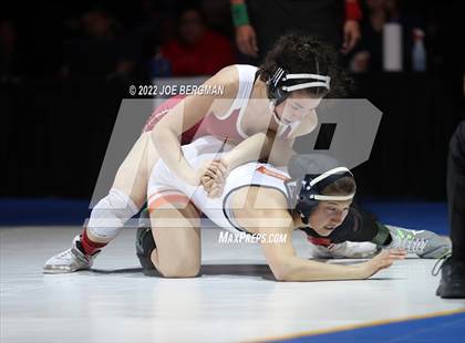 Thumbnail 2 in CIF State Championships (Girl's Finals) photogallery.