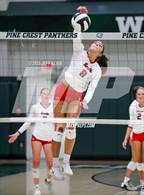 Photo from the gallery "Saint Andrew's @ Pine Crest"