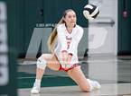 Photo from the gallery "Saint Andrew's @ Pine Crest"