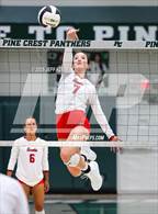 Photo from the gallery "Saint Andrew's @ Pine Crest"