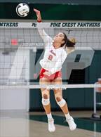 Photo from the gallery "Saint Andrew's @ Pine Crest"