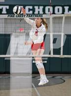 Photo from the gallery "Saint Andrew's @ Pine Crest"