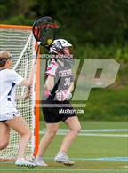 Photo from the gallery "Cheshire @ Wilton"