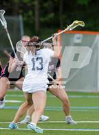 Photo from the gallery "Cheshire @ Wilton"
