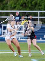 Photo from the gallery "Cheshire @ Wilton"