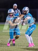 Photo from the gallery "Forest @ West Port"