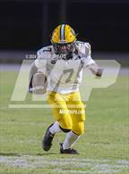 Photo from the gallery "Forest @ West Port"