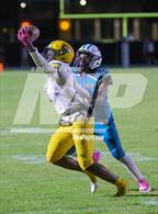 Photo from the gallery "Forest @ West Port"