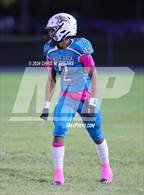 Photo from the gallery "Forest @ West Port"