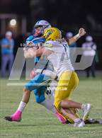 Photo from the gallery "Forest @ West Port"