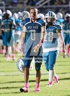 Photo from the gallery "Forest @ West Port"