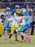 Photo from the gallery "Forest @ West Port"