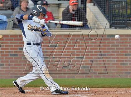 Thumbnail 1 in Winter Haven vs. Carrollwood Day  photogallery.