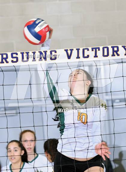 Thumbnail 2 in Head-Royce vs. Immanuel (CIF State D5 Final) photogallery.