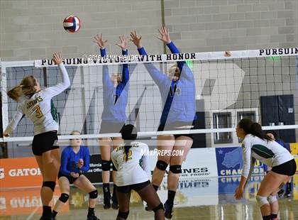 Thumbnail 1 in Head-Royce vs. Immanuel (CIF State D5 Final) photogallery.