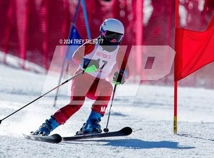 Thumbnail 1 in NYSPHSAA Section V Class A & B Giant Slalom Final (Second Run) photogallery.