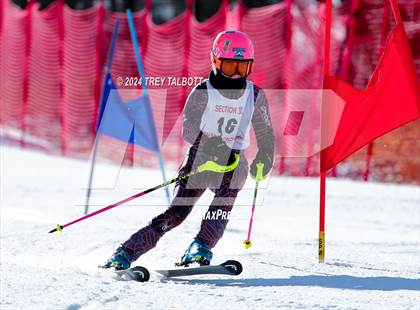 Thumbnail 1 in NYSPHSAA Section V Class A & B Giant Slalom Final (Second Run) photogallery.