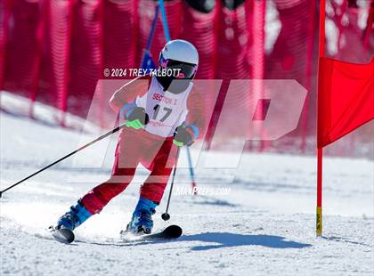Thumbnail 2 in NYSPHSAA Section V Class A & B Giant Slalom Final (Second Run) photogallery.