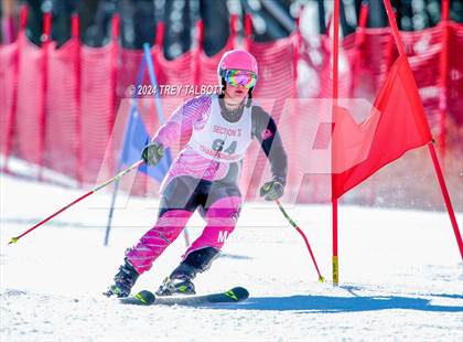 Thumbnail 1 in NYSPHSAA Section V Class A & B Giant Slalom Final (Second Run) photogallery.