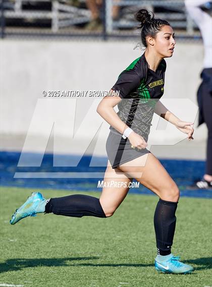 Thumbnail 3 in Hilmar vs. Liberty Ranch (CIF SJS D5 Final) photogallery.