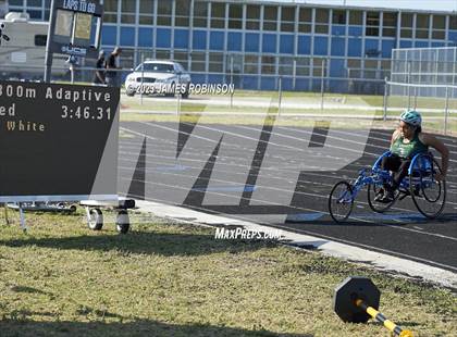 Thumbnail 1 in Sandra Cheeseborough Invitational (Adaptive 800 Meter) photogallery.