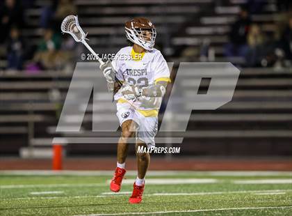 Thumbnail 2 in Mira Costa @ Crespi photogallery.