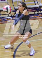 Photo from the gallery "Cardinal Newman @ Benjamin"