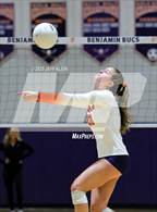 Photo from the gallery "Cardinal Newman @ Benjamin"