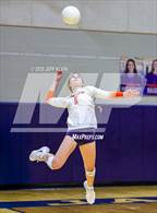 Photo from the gallery "Cardinal Newman @ Benjamin"